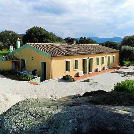 Chicchiritanos Bed & Breakfast Monti Exterior foto