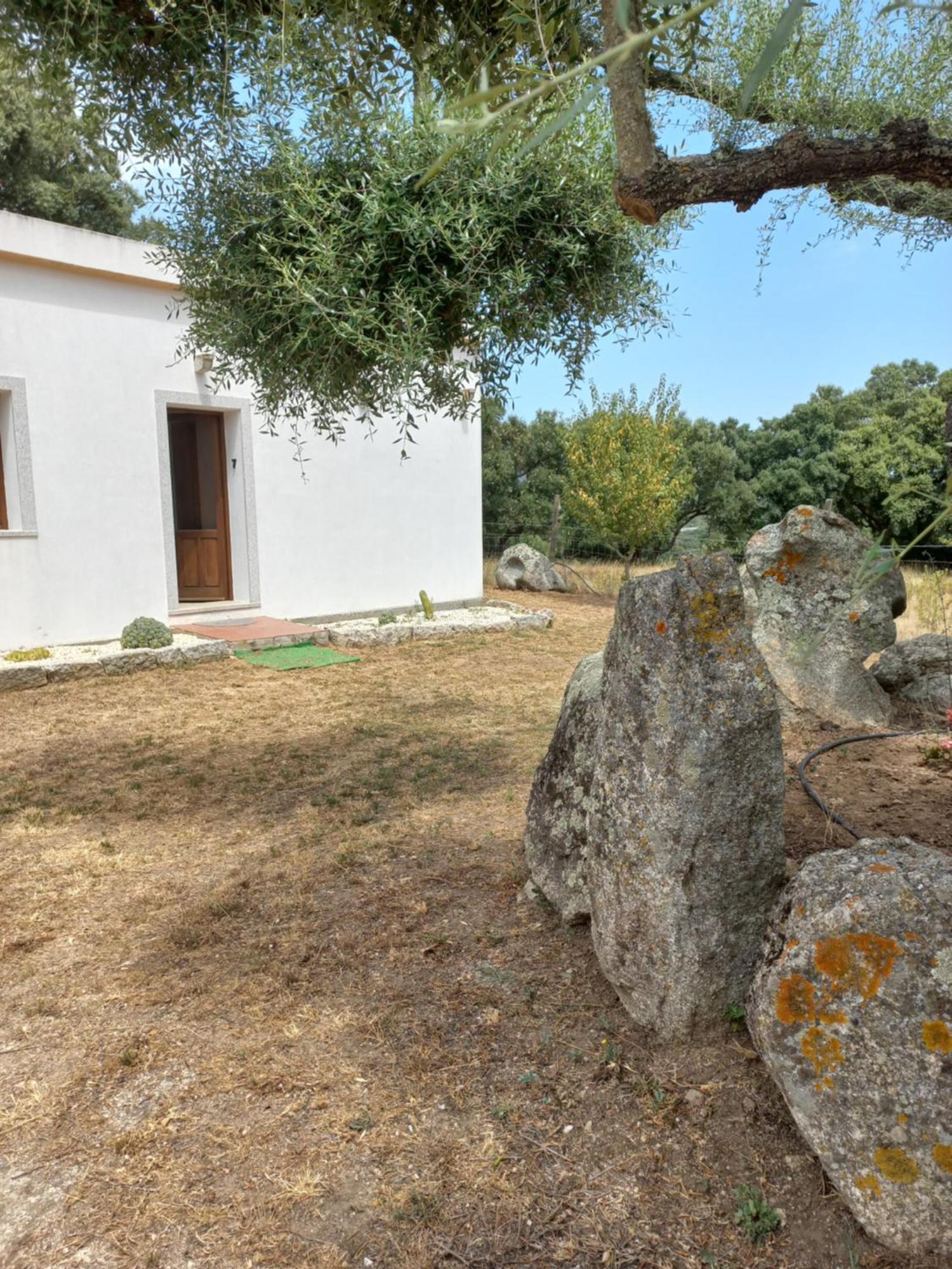Chicchiritanos Bed & Breakfast Monti Exterior foto