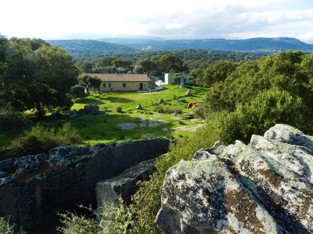Chicchiritanos Bed & Breakfast Monti Exterior foto